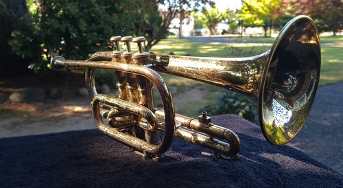 Vintage olds ambassador tromba - vintage,
